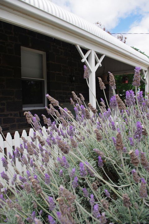 Little River Bed And Breakfast - Foster Accommodation 30