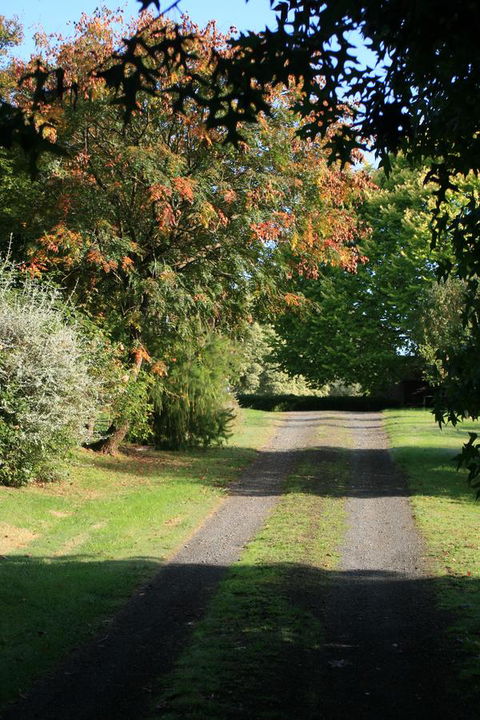 Strathmore Farm B&B - Foster Accommodation 27