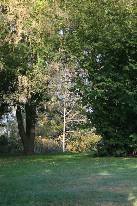 Strathmore Farm B&B - Foster Accommodation 26