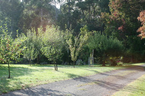 Strathmore Farm B&B - Foster Accommodation 33