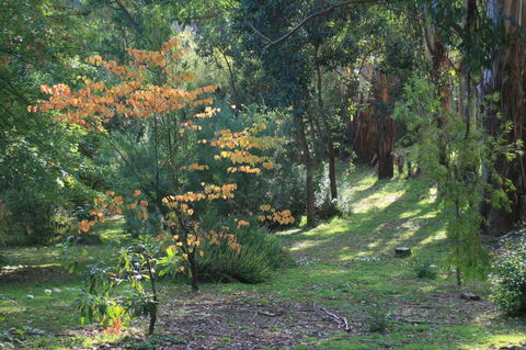 Strathmore Farm B&B - Foster Accommodation 25