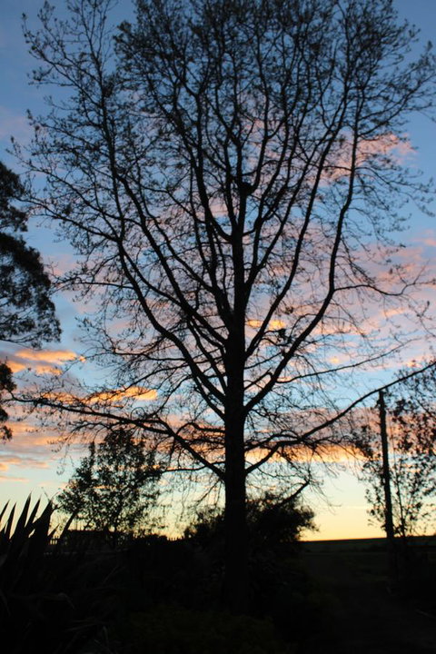 East Street Daylesford - Foster Accommodation 29