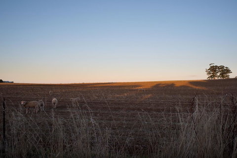 East Street Daylesford - Foster Accommodation 13