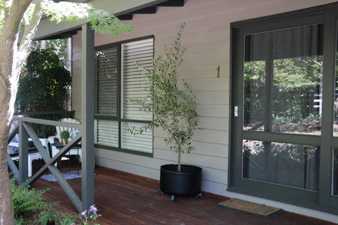 Haig Avenue - Foster Accommodation 5