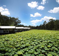 The Boathouses at Leaves  Fishes - Foster Accommodation