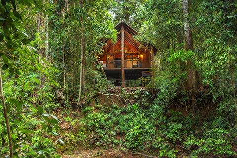 The Canopy Rainforest Treehouses & Wildlife Sanctuary - Foster Accommodation 0
