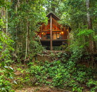 The Canopy Rainforest Treehouses  Wildlife Sanctuary - Foster Accommodation