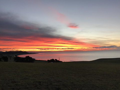 The Cove Tasmania - Foster Accommodation 1