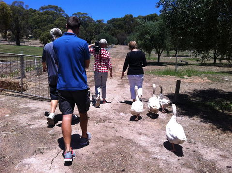 The Farm Willunga - Foster Accommodation 1