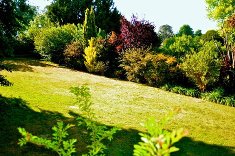 The Glasshouse Boutique Accommodation - Foster Accommodation 1