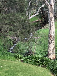 Book Cockatoo Valley Accommodation Vacations Foster Accommodation Foster Accommodation