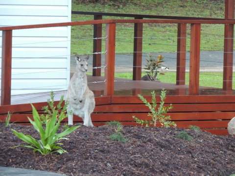 The Pouch B & B - Foster Accommodation 1