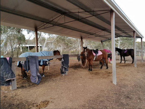 The Saddle Camp Tiny House, Braidwood - Foster Accommodation 1