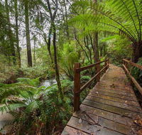 The Source Otways - Foster Accommodation