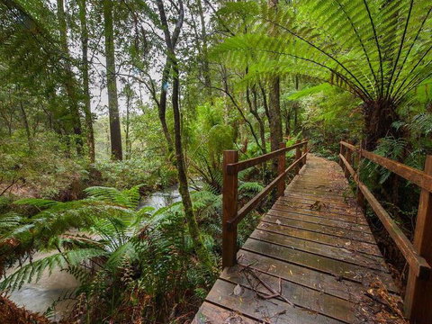 The Source, Otways - Foster Accommodation 0