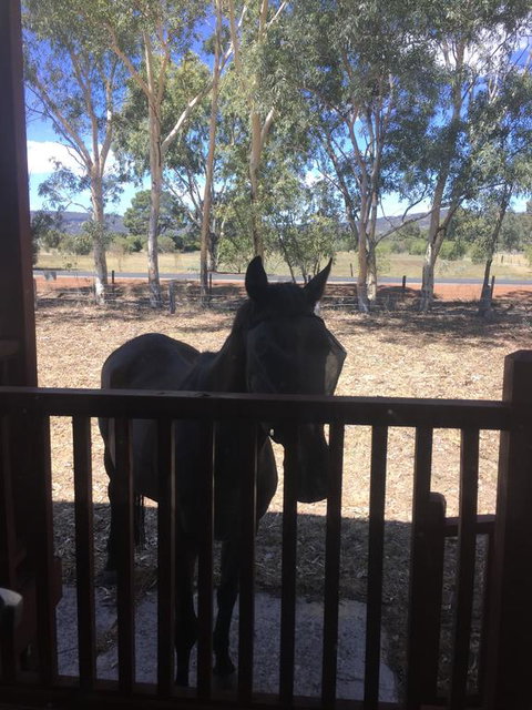 Thie My Chree Retreat - Foster Accommodation 3