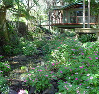 Treetops Montville - Foster Accommodation