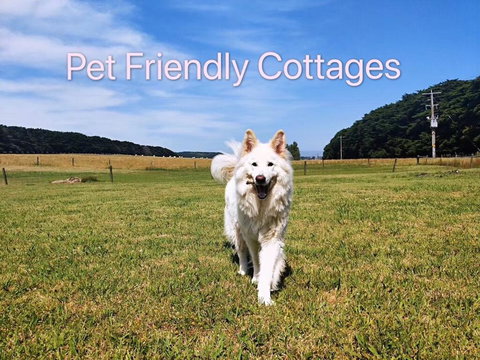 Twelve Apostles Motel & Country Retreat - Foster Accommodation 2