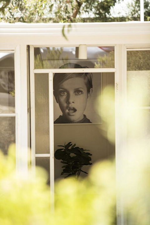 Twiggy @ Anglesea - Foster Accommodation 3