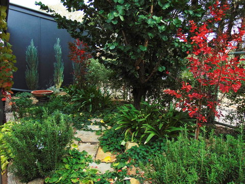 Twin Palms Castlemaine - Foster Accommodation 1