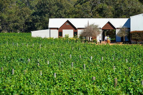 Upper Reach Spa Cottage - Foster Accommodation 0