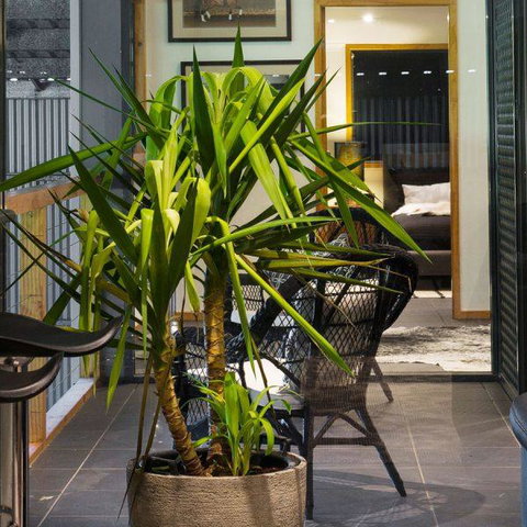 Val D'Argent Equestrian Centre - Foster Accommodation 2