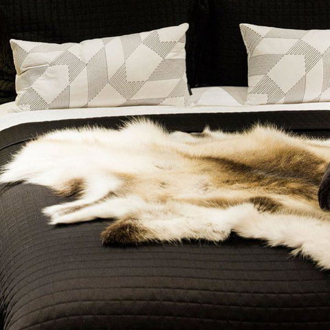 Val D'Argent Equestrian Centre - Foster Accommodation 1