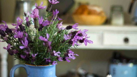 Vicarage View Cottage - Foster Accommodation 2