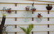 Villa Holiday Park - thumb 3