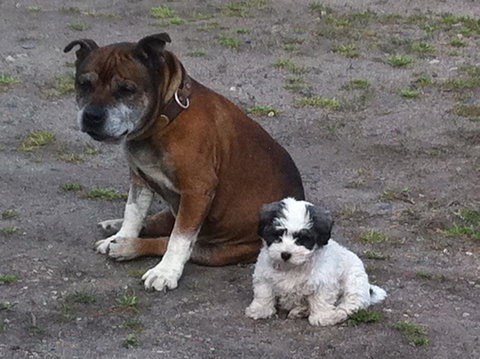 Walcha Royal Cafe & Accommodation - Foster Accommodation 3