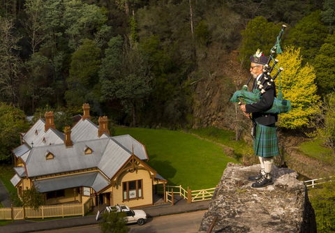 Walhalla Wild Cherry - Foster Accommodation 2