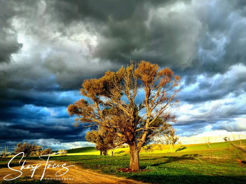 Wantana Cottage Farmstay - Foster Accommodation 2