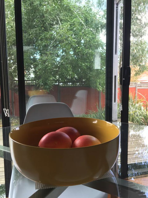 Daydream Cottage - Foster Accommodation 19