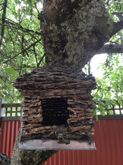 Daydream Cottage - Foster Accommodation 18