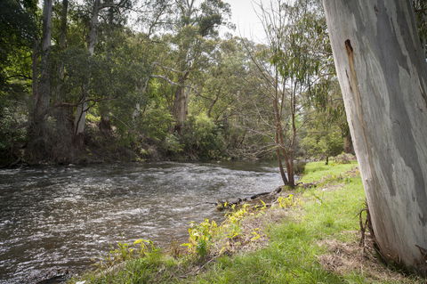 Oscar\'s On The Yarra - Foster Accommodation 23