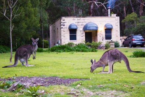 Marwood Villas - Foster Accommodation 0