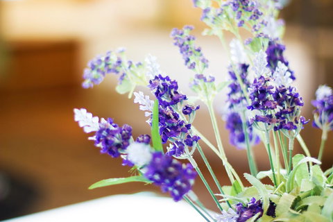 Marwood Villas - Foster Accommodation 7