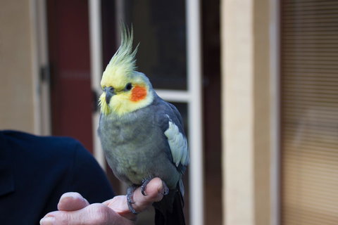 Marwood Villas - Foster Accommodation 33