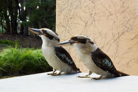 Marwood Villas - Foster Accommodation 13