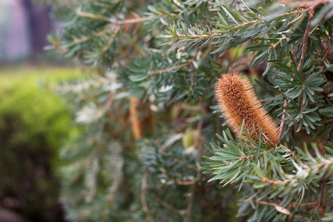 Marwood Villas - Foster Accommodation 34