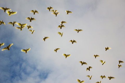 Marwood Villas - Foster Accommodation 36