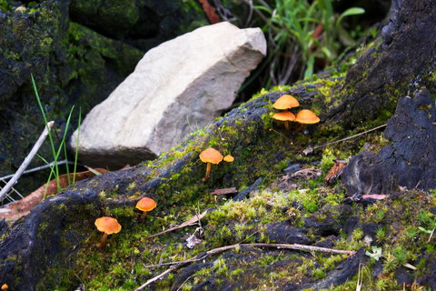 Marwood Villas - Foster Accommodation 29