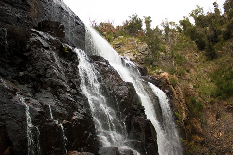 Marwood Villas - Foster Accommodation 38