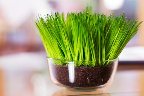 Marwood Villas - Foster Accommodation 17