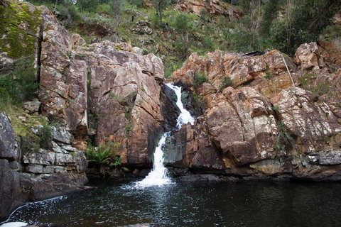 Marwood Villas - Foster Accommodation 41