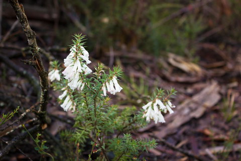 Marwood Villas - Foster Accommodation 37