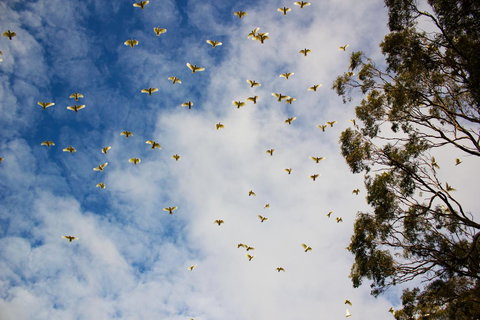 Marwood Villas - Foster Accommodation 26