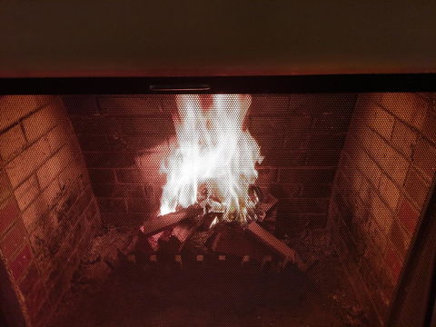 Ansonia On Lydiard - Foster Accommodation 17