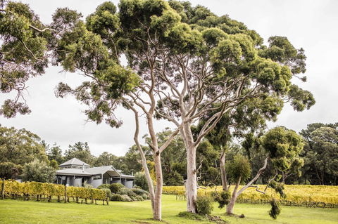 Polperro Villas - Foster Accommodation 20