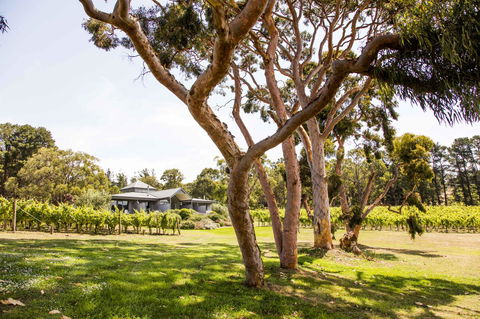 Polperro Villas - Foster Accommodation 17